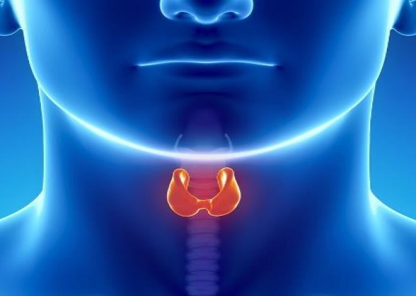 Όζοι θυρεοειδούς αδένα