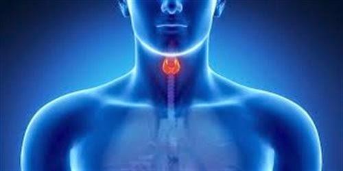 Υποκλινικός Υποθυρεοειδισμός - Ενδοκρινολόγος Αθήνα